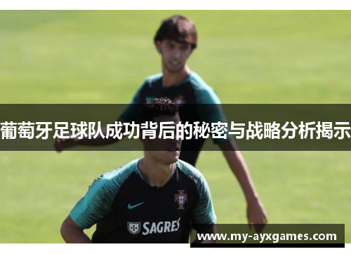 葡萄牙足球队成功背后的秘密与战略分析揭示