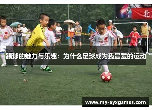 踢球的魅力与乐趣:为什么足球成为我最爱的运动 踢球的魅力与乐趣:为什么足球成为我最爱的运动