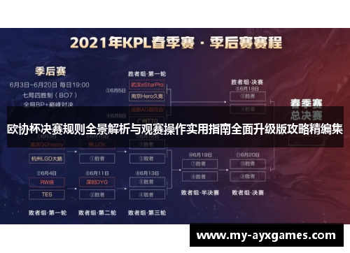 欧协杯决赛规则全景解析与观赛操作实用指南全面升级版攻略精编集 欧协杯决赛规则全景解析与观赛操作实用指南全面升级版攻略精编集