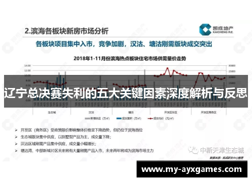 辽宁总决赛失利的五大关键因素深度解析与反思